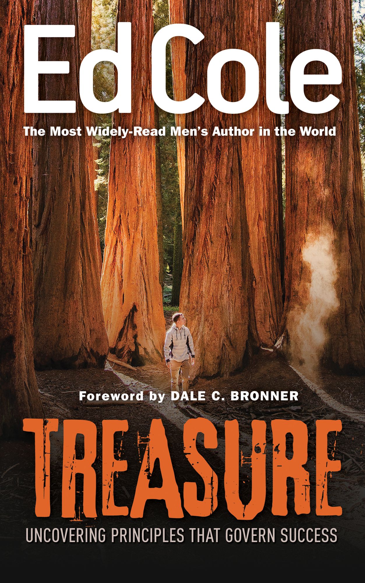 Treasure: Uncovering Principles That Govern Success (Reissue)