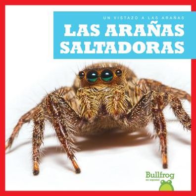 Las Aranas Saltadoras (Jumping Spiders)