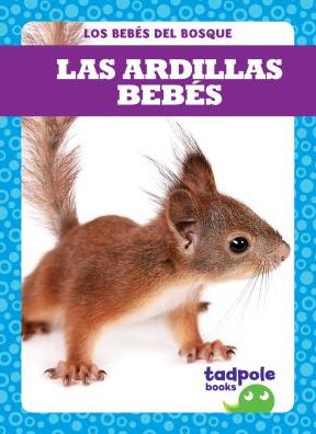Las Ardillas Bebes (Squirrel Kits)