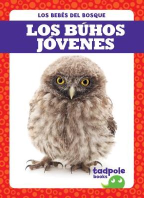 Los Buhos Jovenes (Owlets)