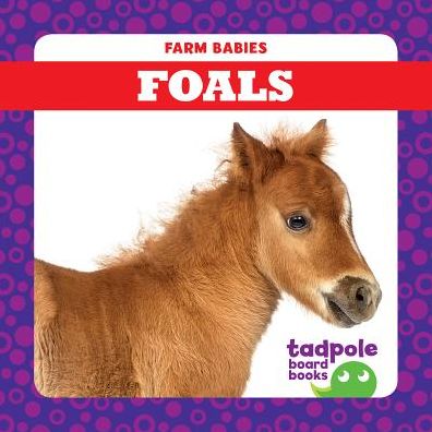 Foals