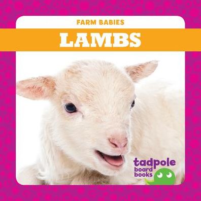 Lambs