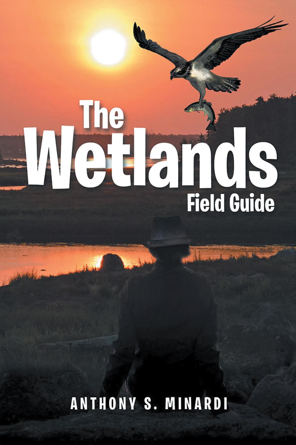 The Wetlands Field Guide