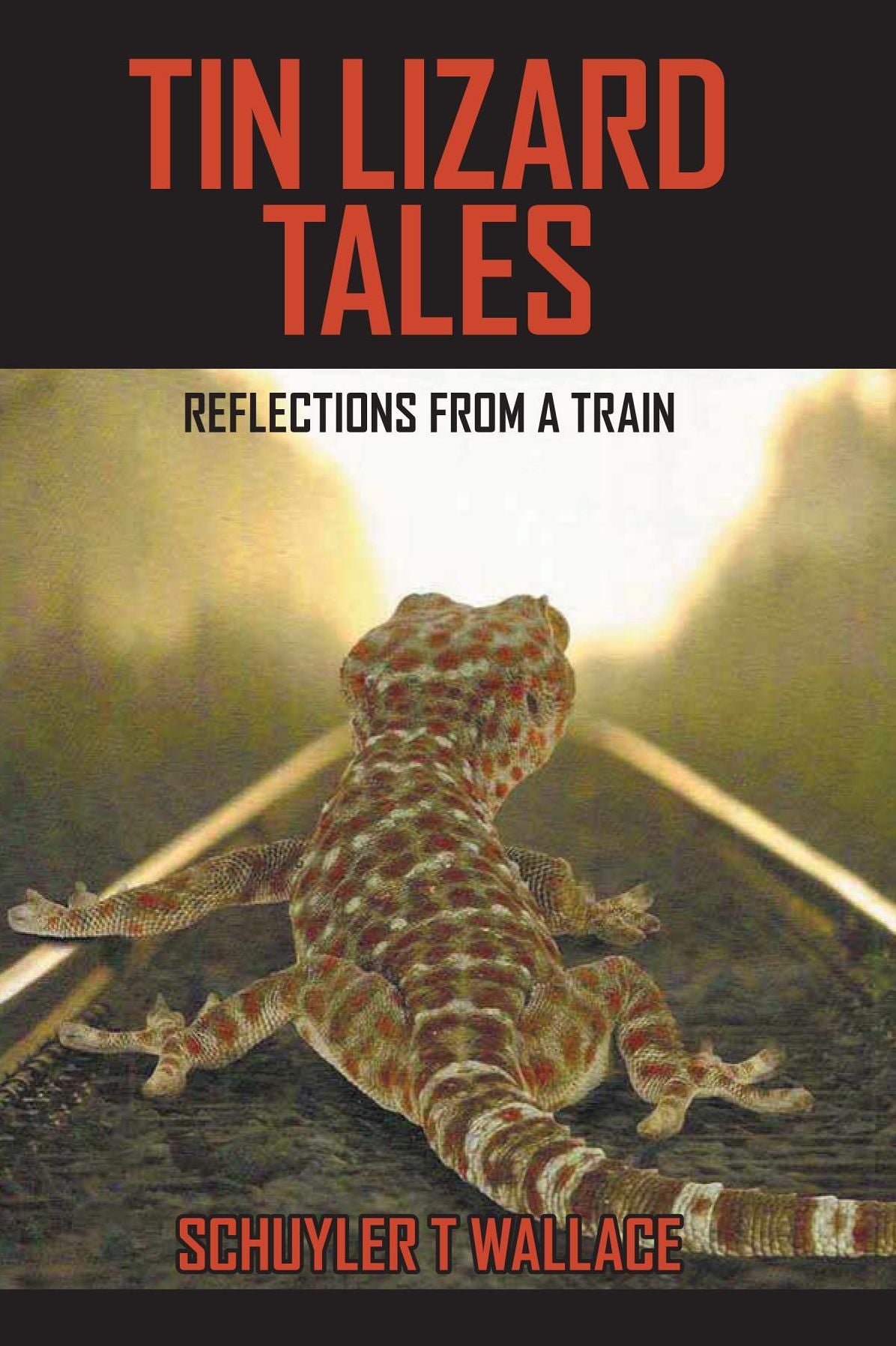 Tin Lizard Tales: Reflections from a Train