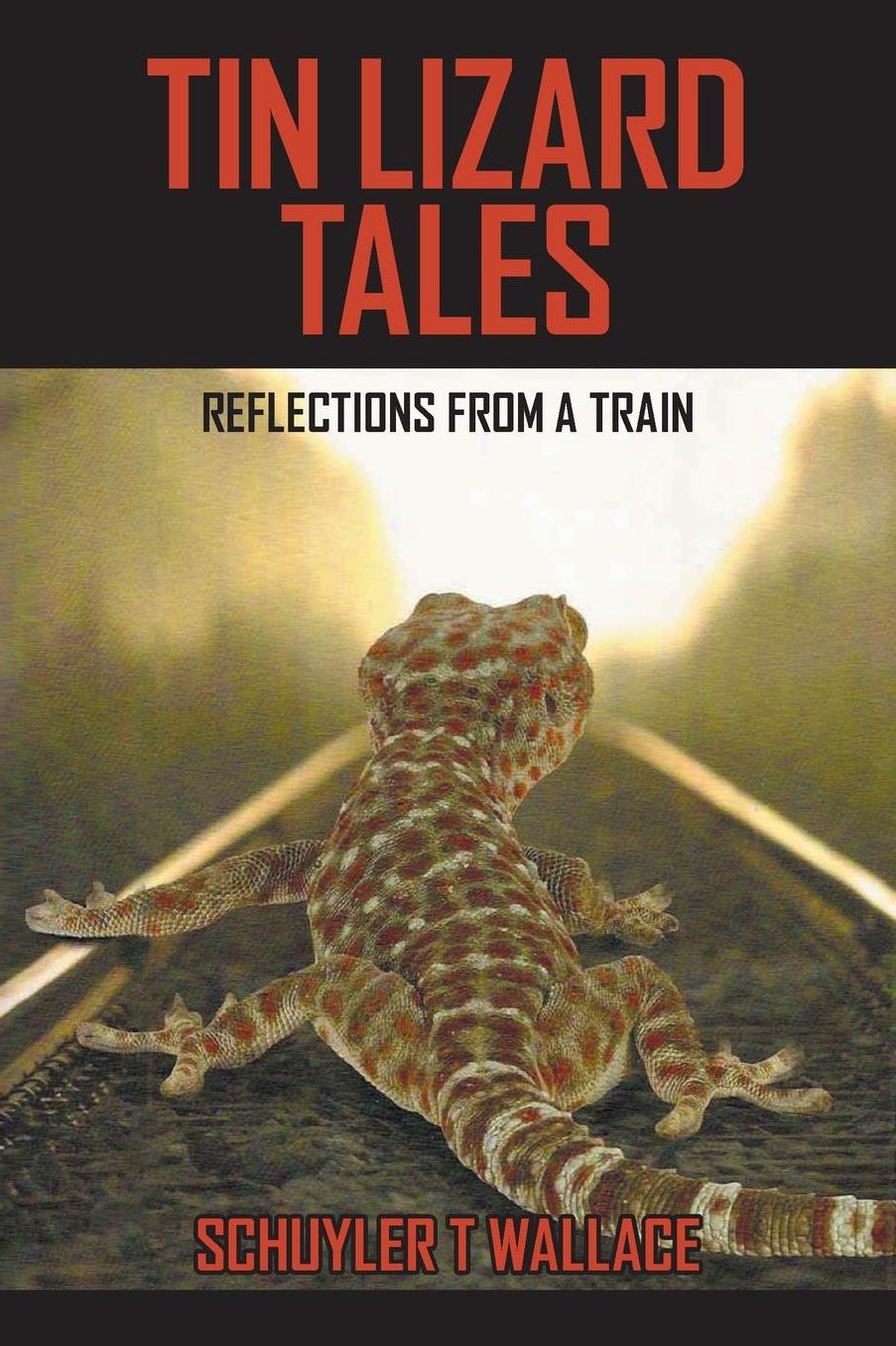 Tin Lizard Tales: Reflections from a Train