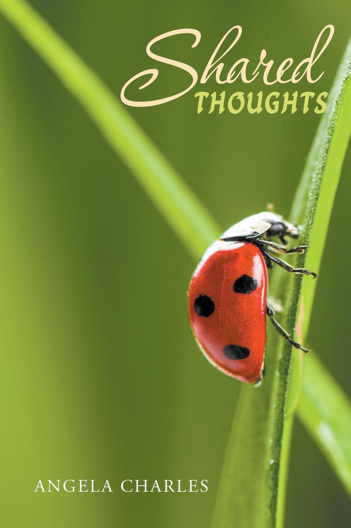 Shared Thoughts: Engaging in Life