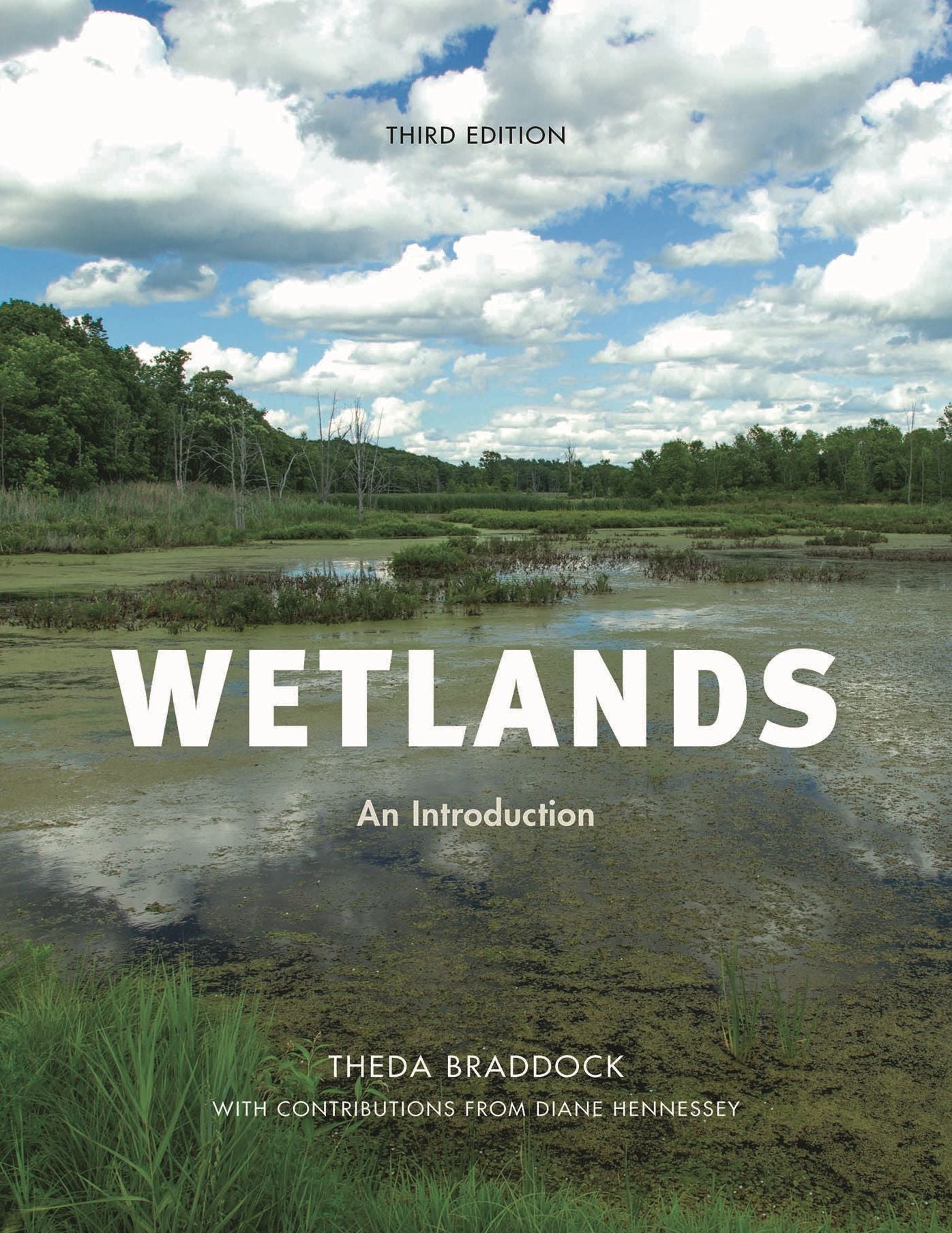 Wetlands: An Introduction