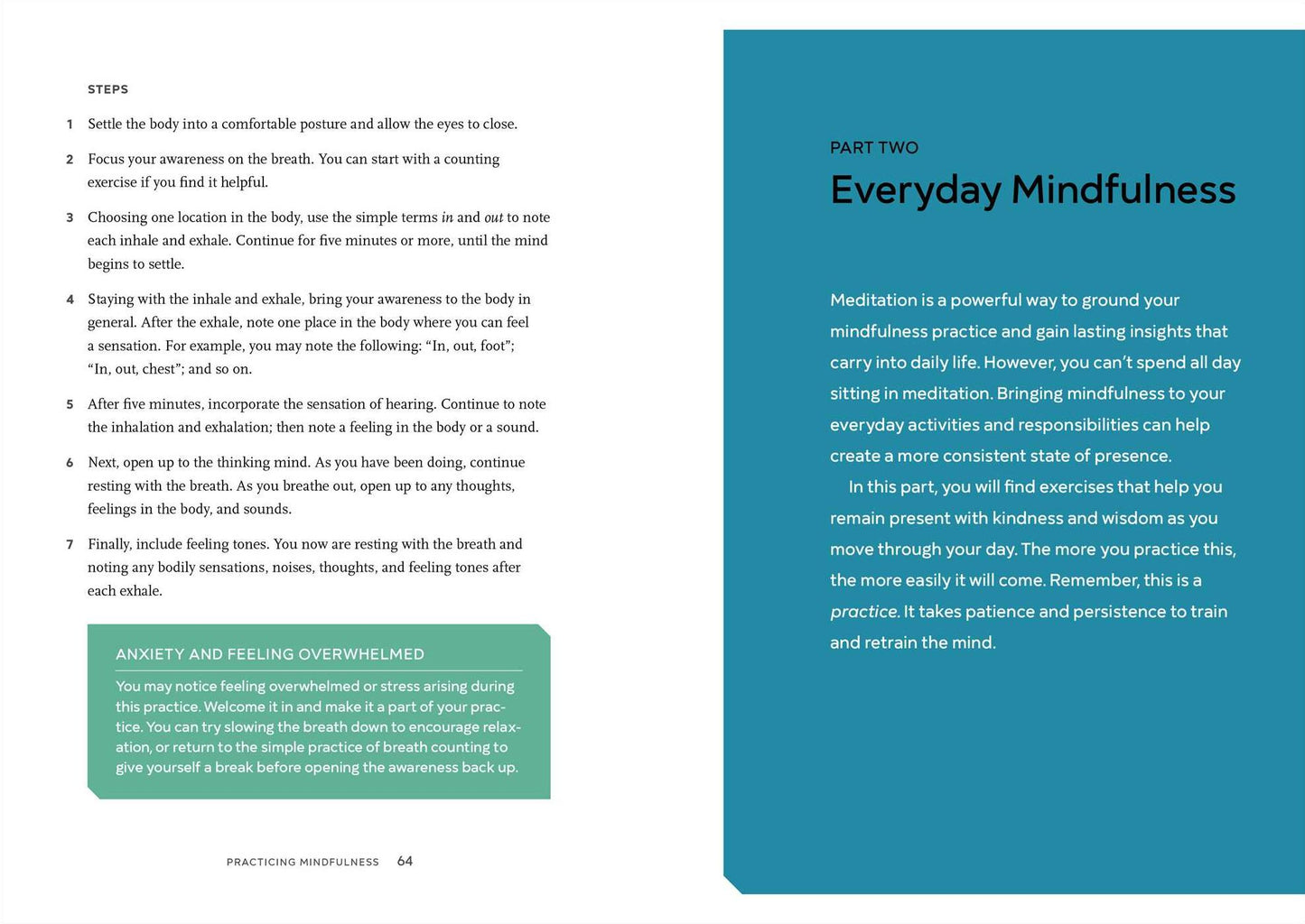 Practicing Mindfulness: 75 Essential Meditations to Reduce Stress, Improve Mental Health, and Find Peace in the Everyday