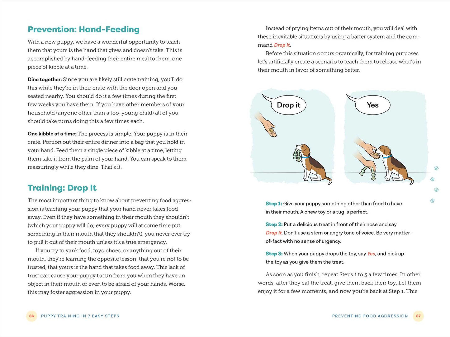 Puppy Training in 7 Easy Steps: Everything You Need to Know to Raise the Perfect Dog