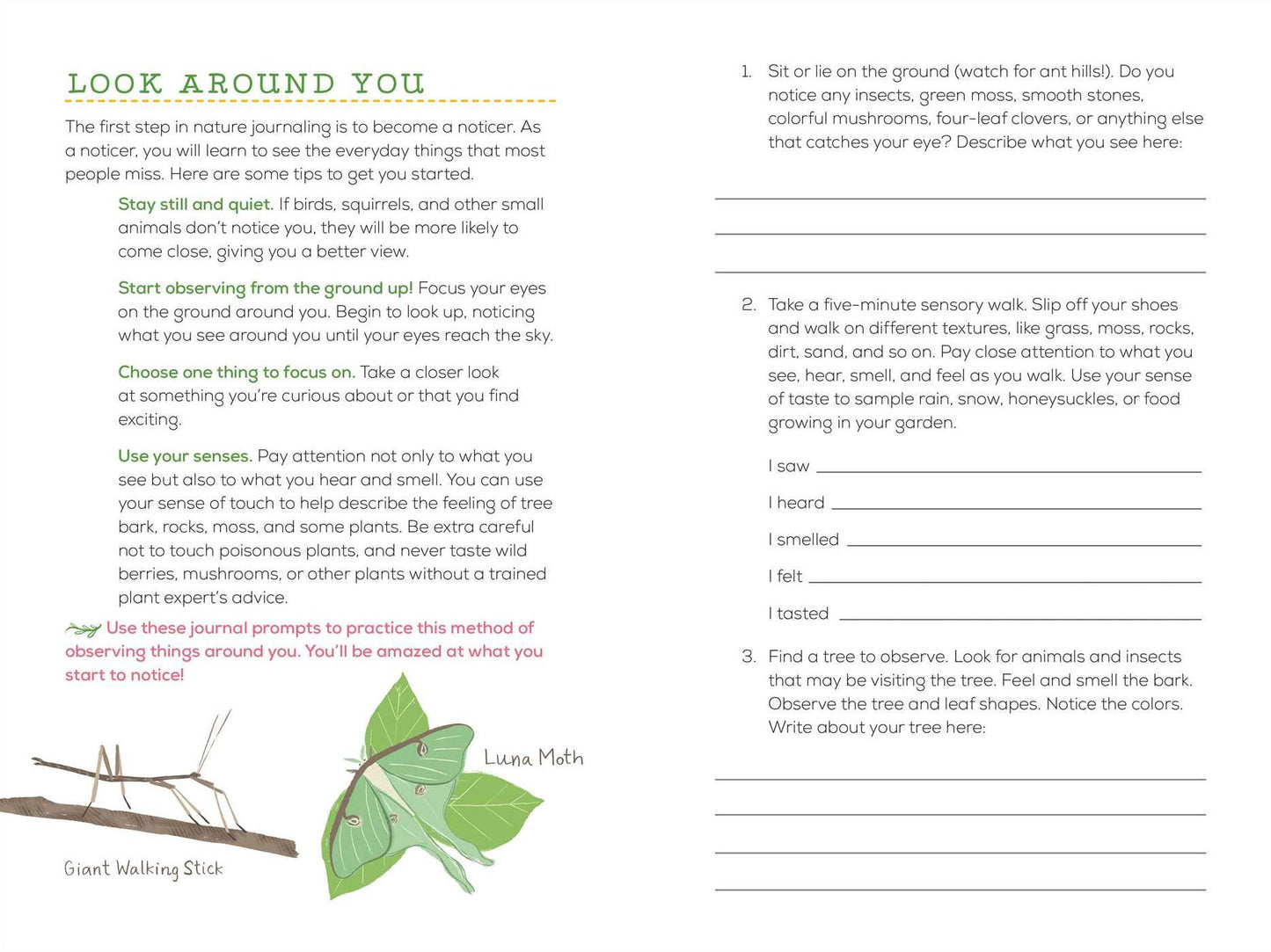Exploring Nature Journal for Kids: Observe and Record the Outdoors