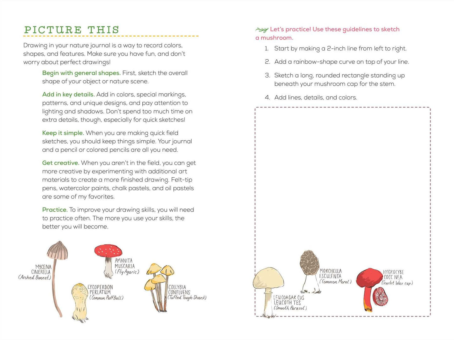 Exploring Nature Journal for Kids: Observe and Record the Outdoors