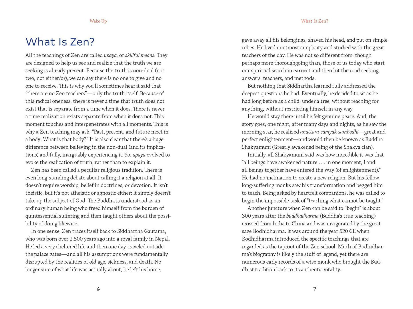 Wake Up: How to Practice Zen Buddhism