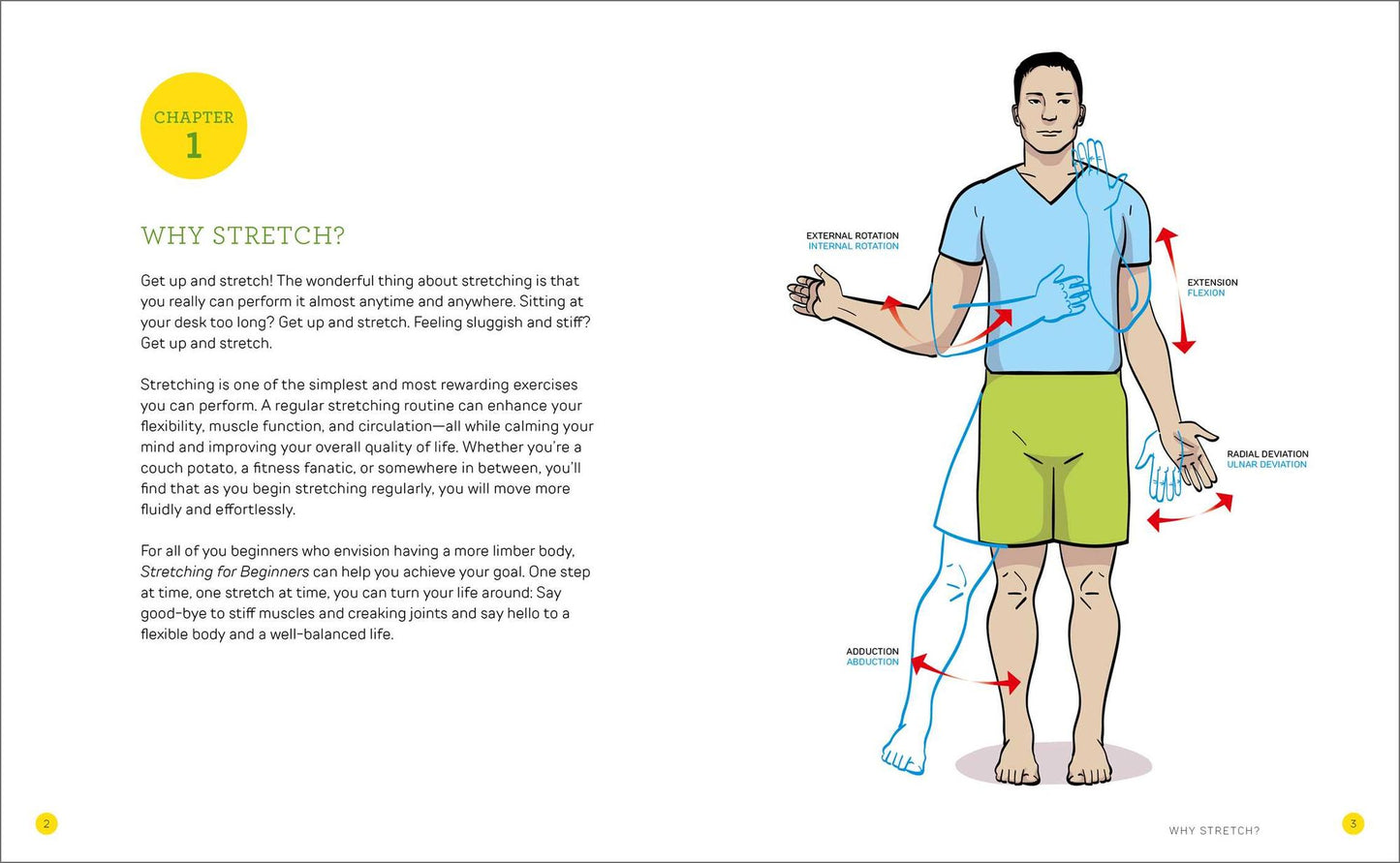 Stretching for Beginners