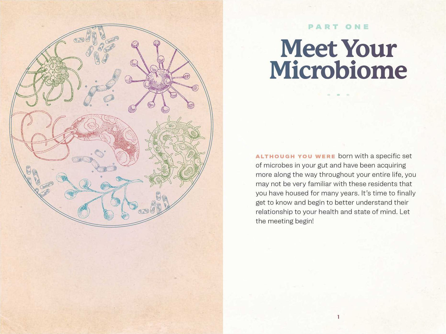 The Microbiome Diet Reset: A Practical Guide to Restore and Protect a Healthy Microbiome