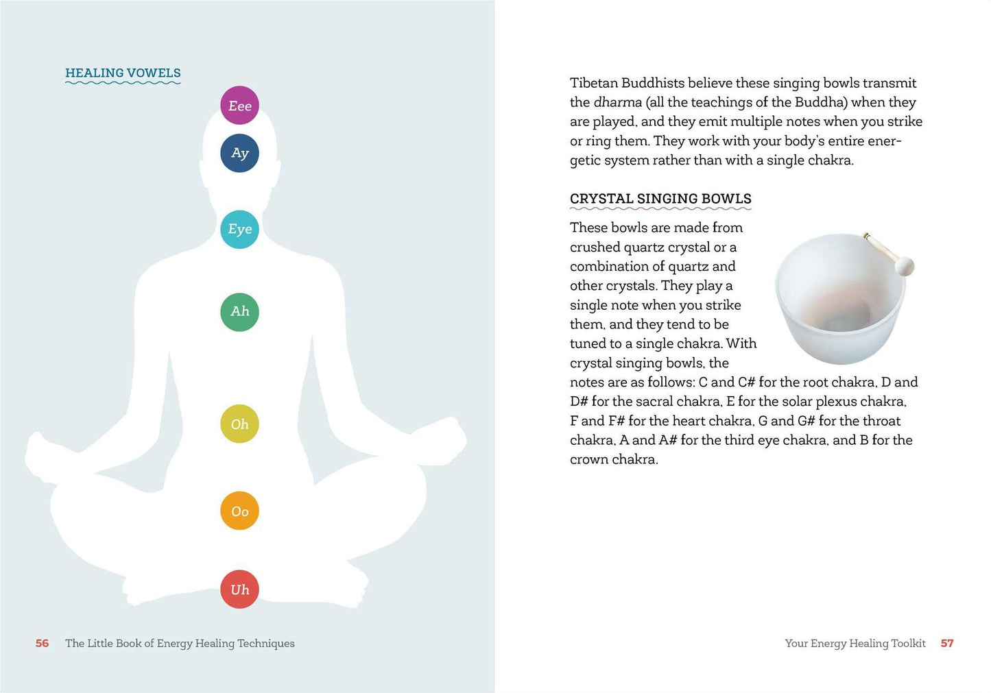 The Little Book of Energy Healing Techniques: Simple Practices to Heal Body, Mind, and Spirit