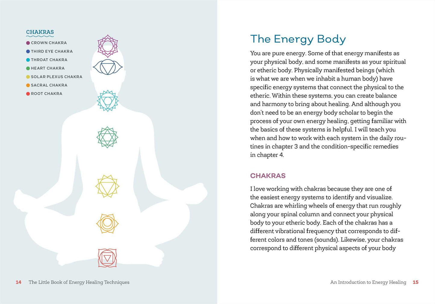 The Little Book of Energy Healing Techniques: Simple Practices to Heal Body, Mind, and Spirit