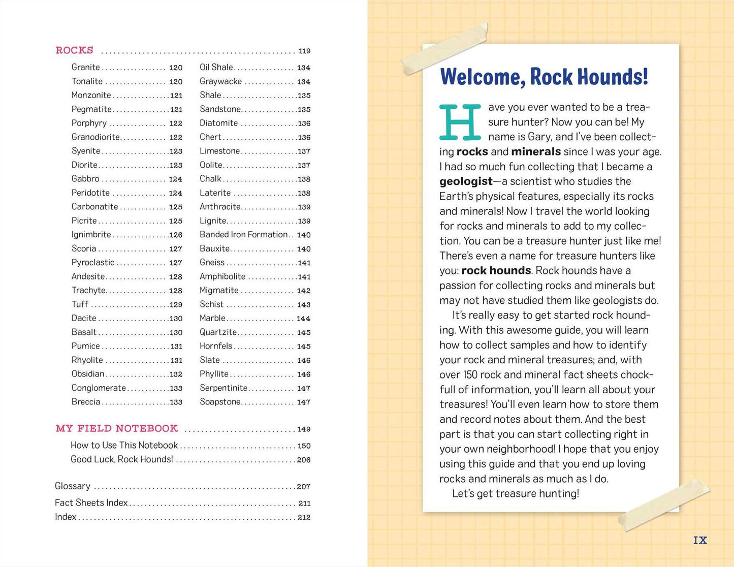 My Awesome Field Guide to Rocks and Minerals: Track and Identify Your Treasures