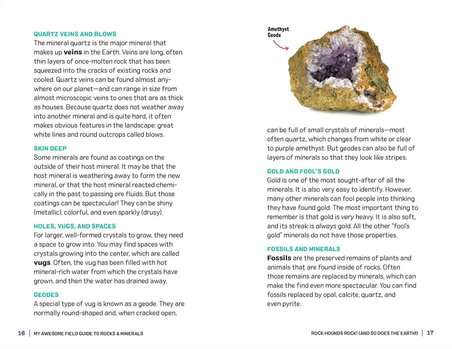 My Awesome Field Guide to Rocks and Minerals: Track and Identify Your Treasures