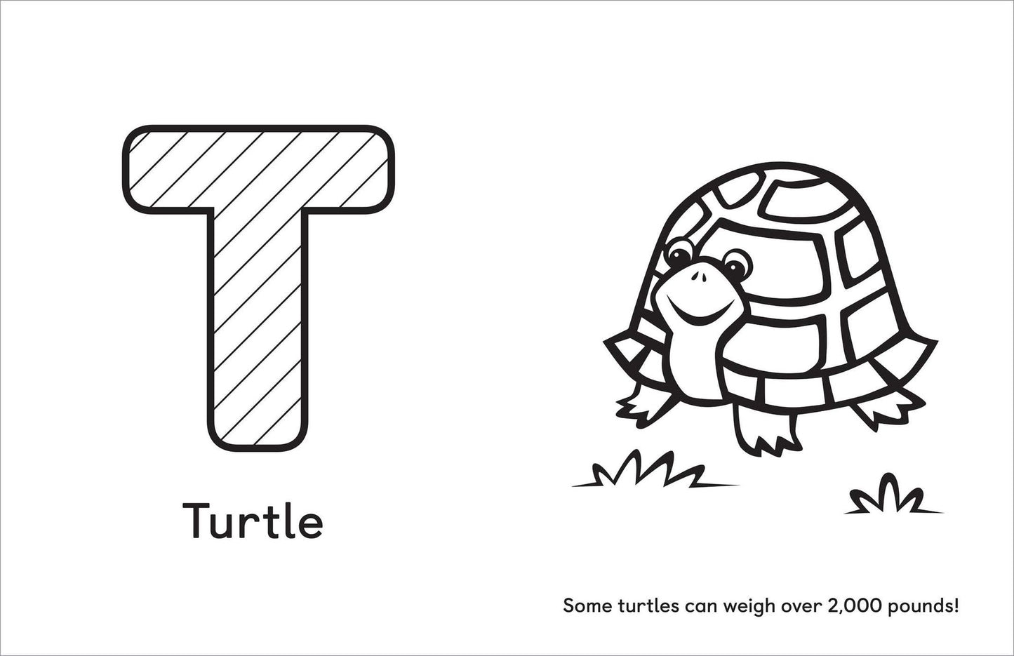 Is for Animals!: Preschool Coloring Book