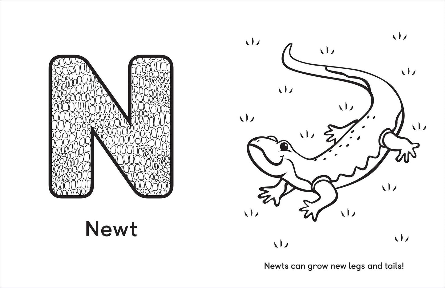 Is for Animals!: Preschool Coloring Book