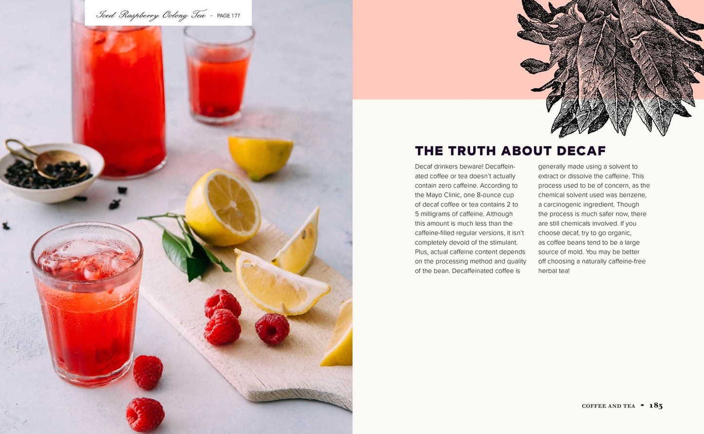 Healing through Nutrition: The Essential Guide to 50 Plant-Based Nutritional Sources