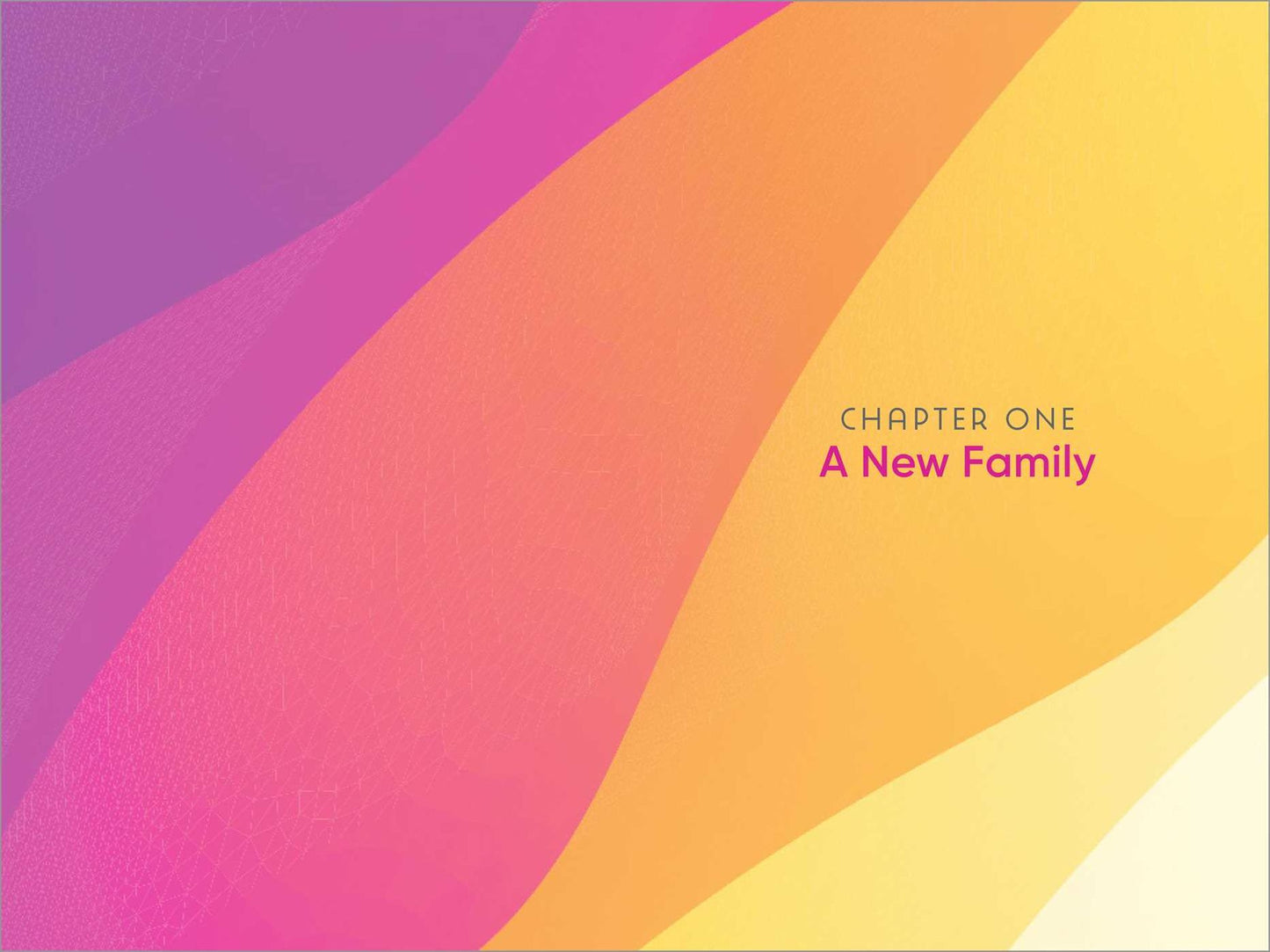 Our Modern Blended Family : A Practical Guide to Creating a Happy Home
