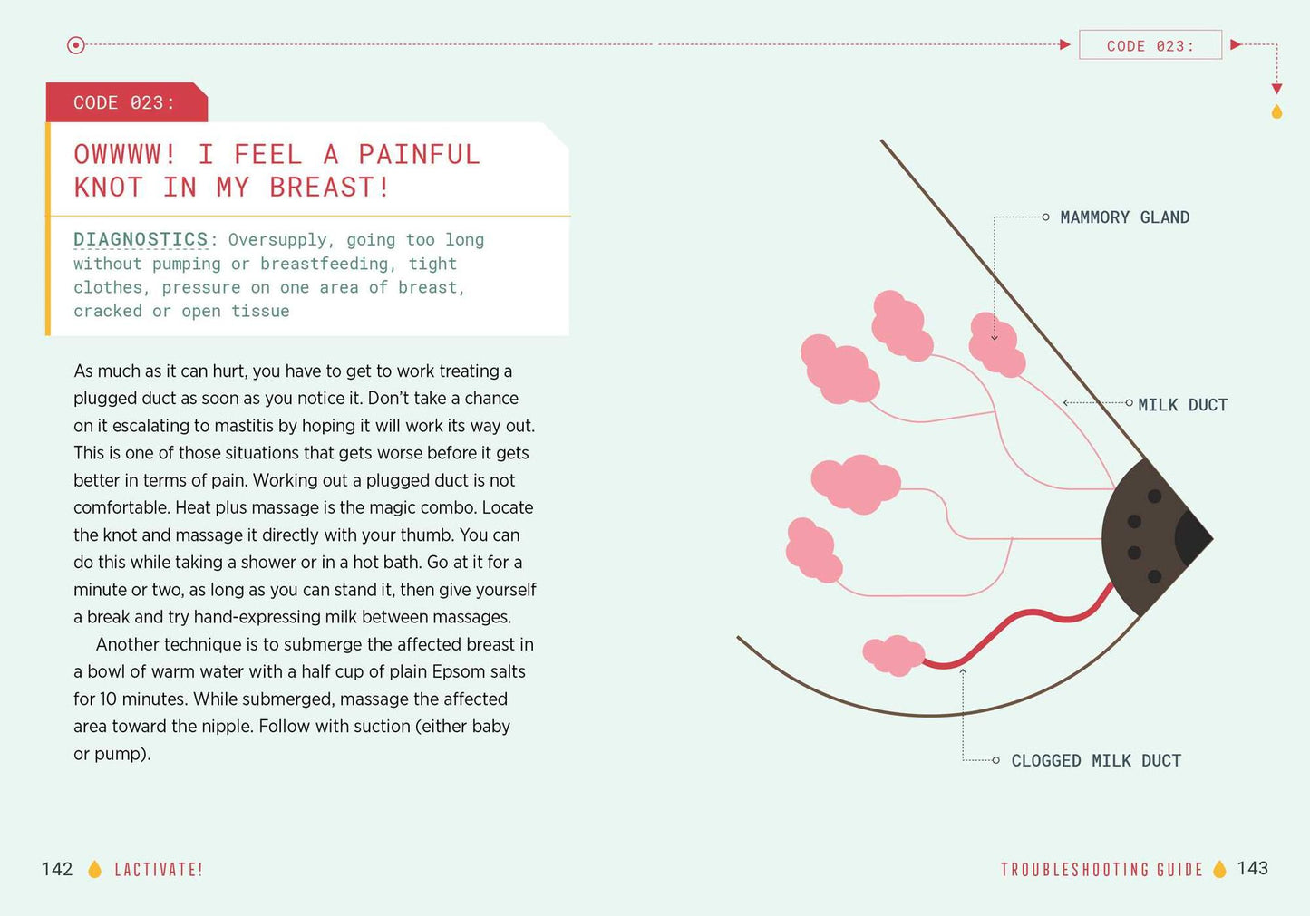 Lactivate!: A User's Guide to Breastfeeding