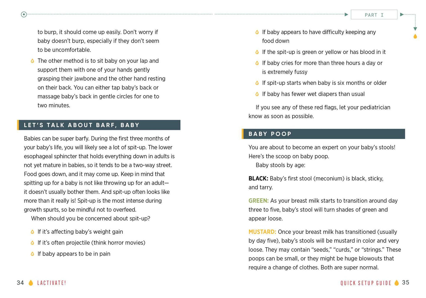 Lactivate!: A User's Guide to Breastfeeding