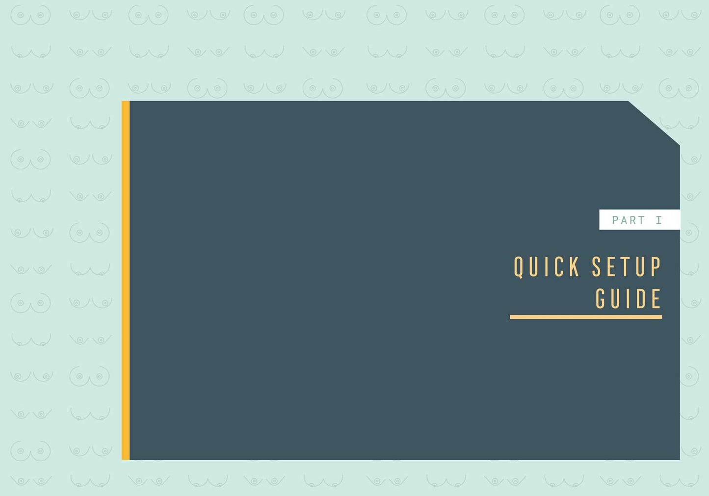 Lactivate!: A User's Guide to Breastfeeding