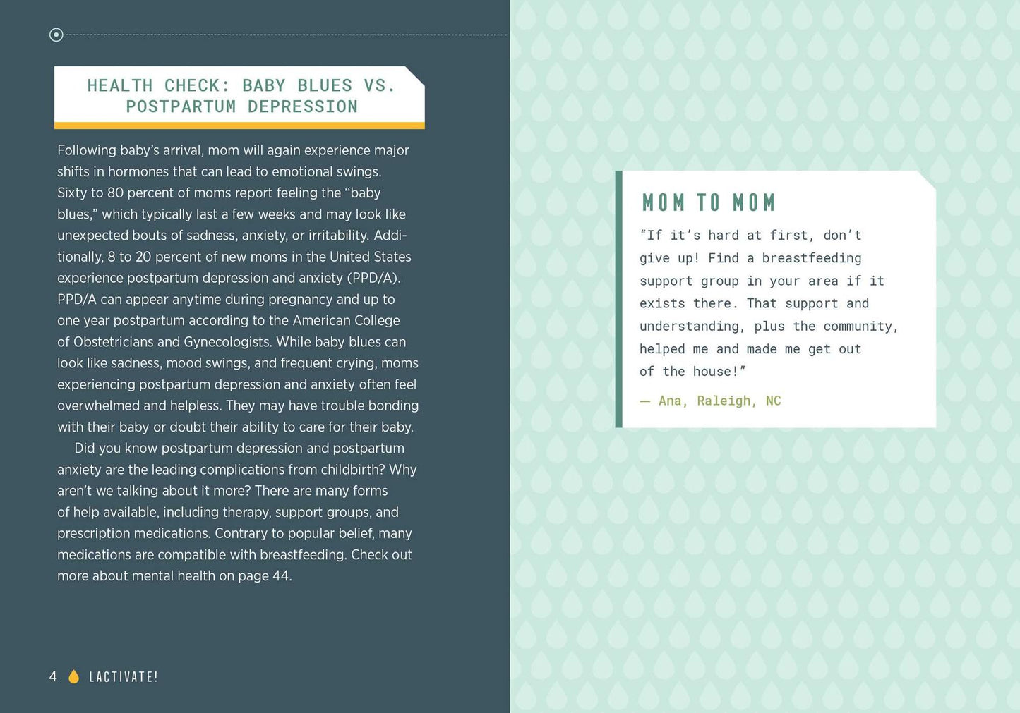 Lactivate!: A User's Guide to Breastfeeding