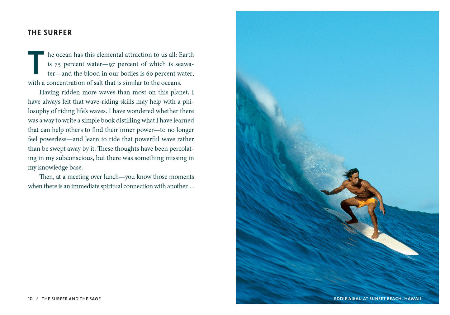The Surfer and the Sage: A Guide to Survive and Ride Life's Waves