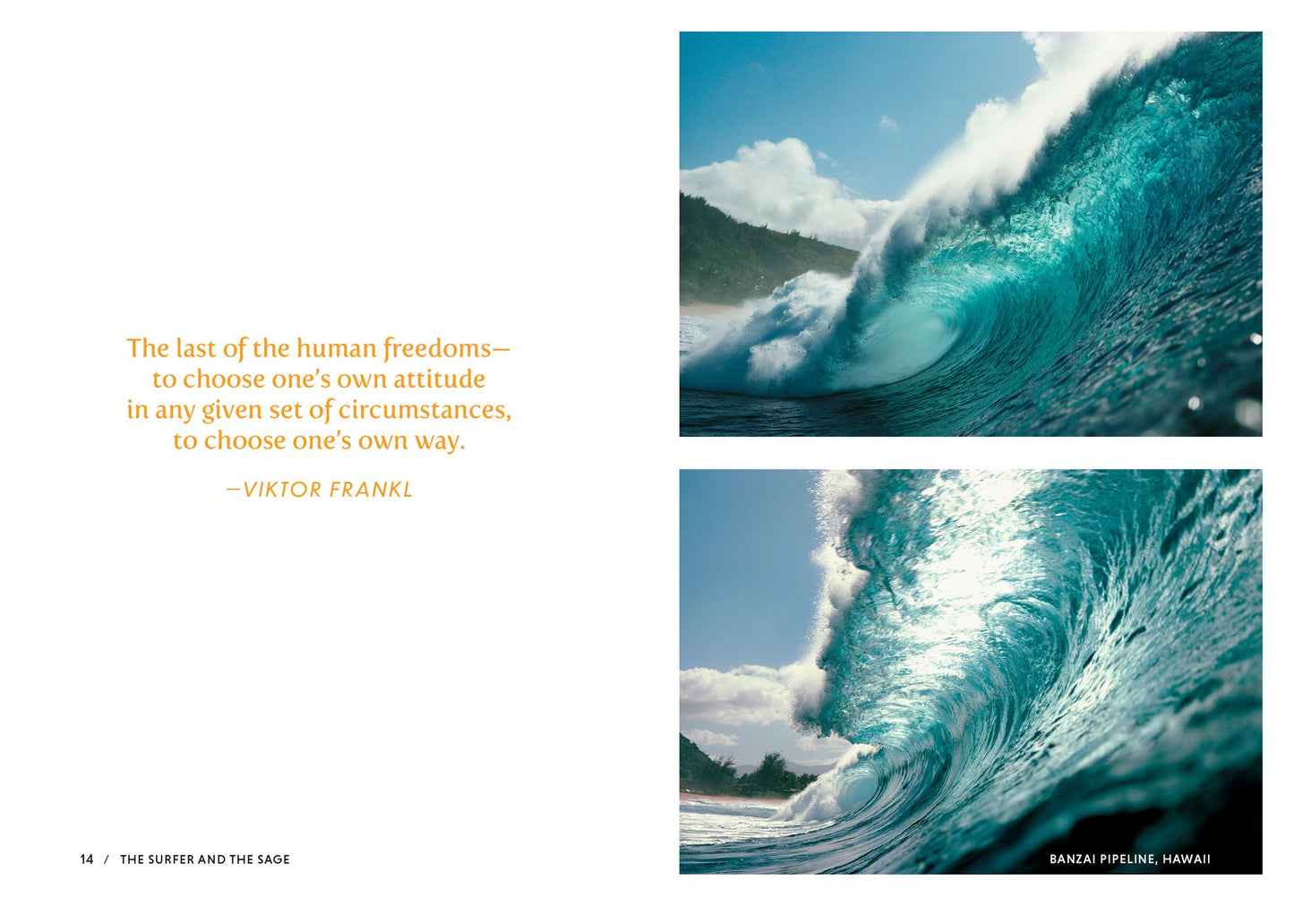 The Surfer and the Sage: A Guide to Survive and Ride Life's Waves