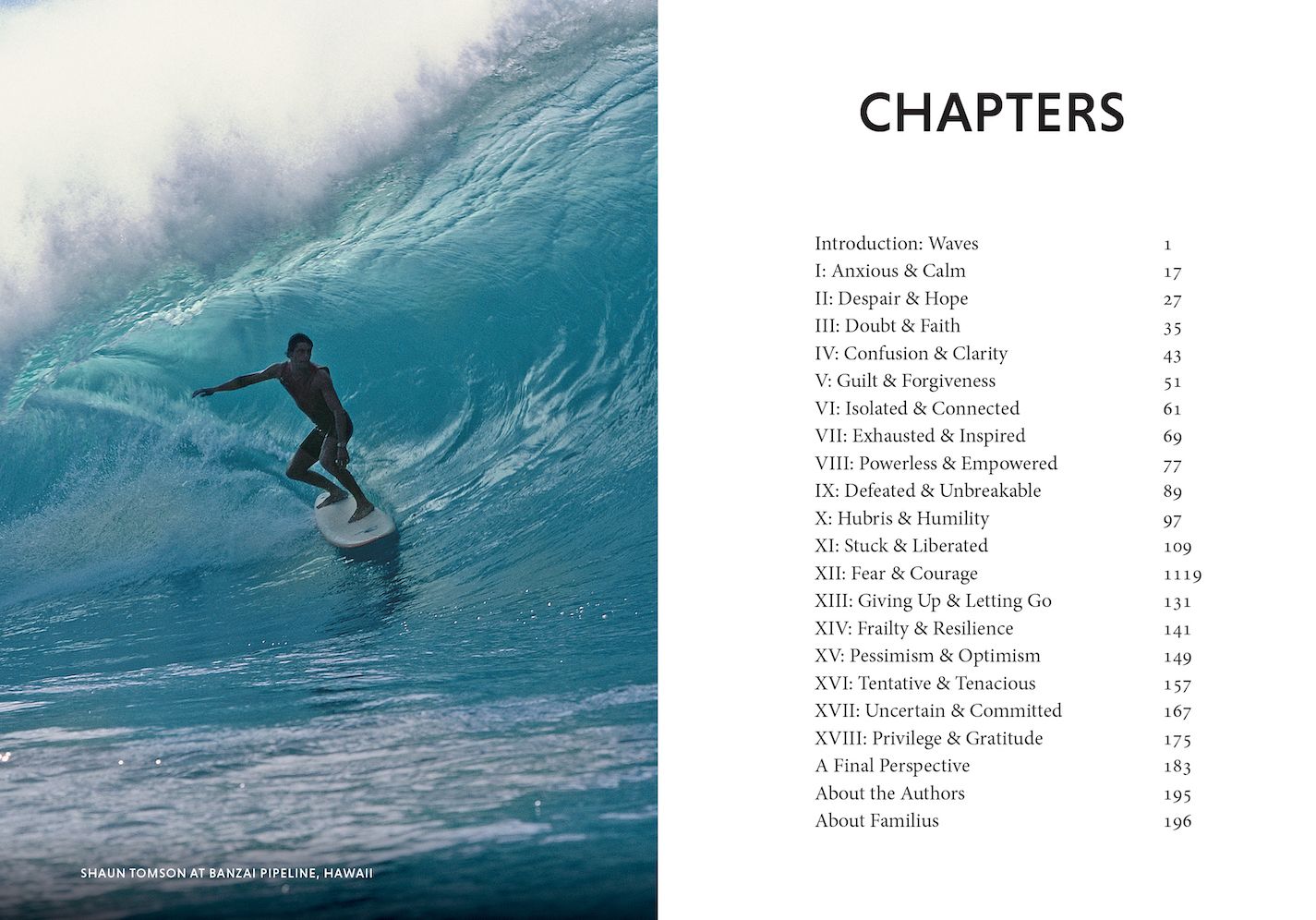 The Surfer and the Sage: A Guide to Survive and Ride Life's Waves