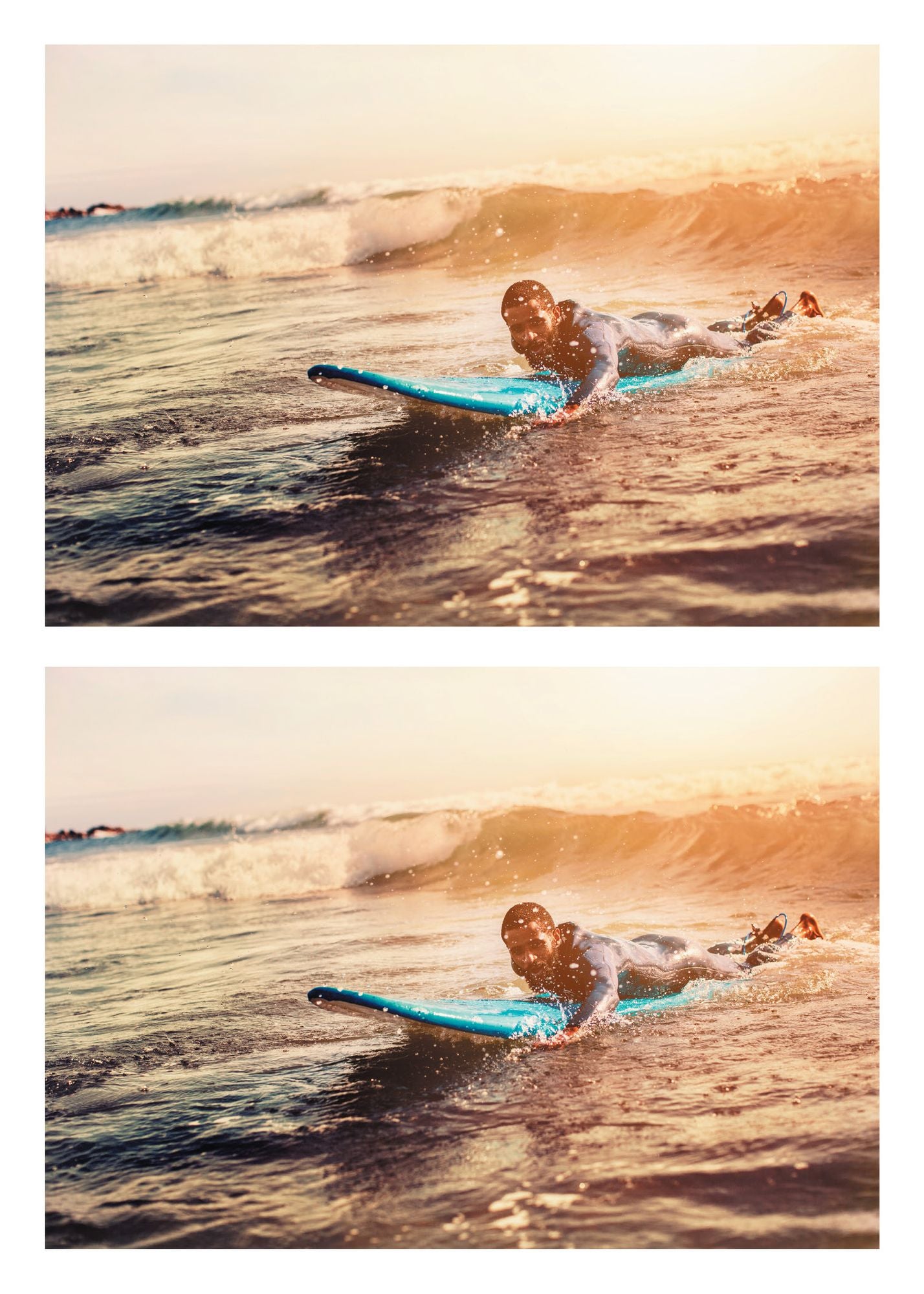 The Surfer and the Sage: A Guide to Survive and Ride Life's Waves