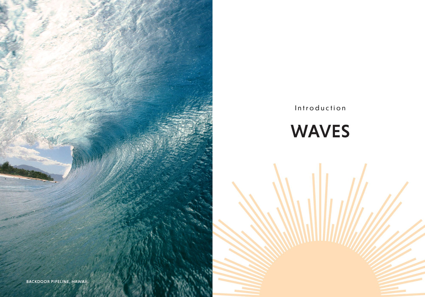 The Surfer and the Sage: A Guide to Survive and Ride Life's Waves