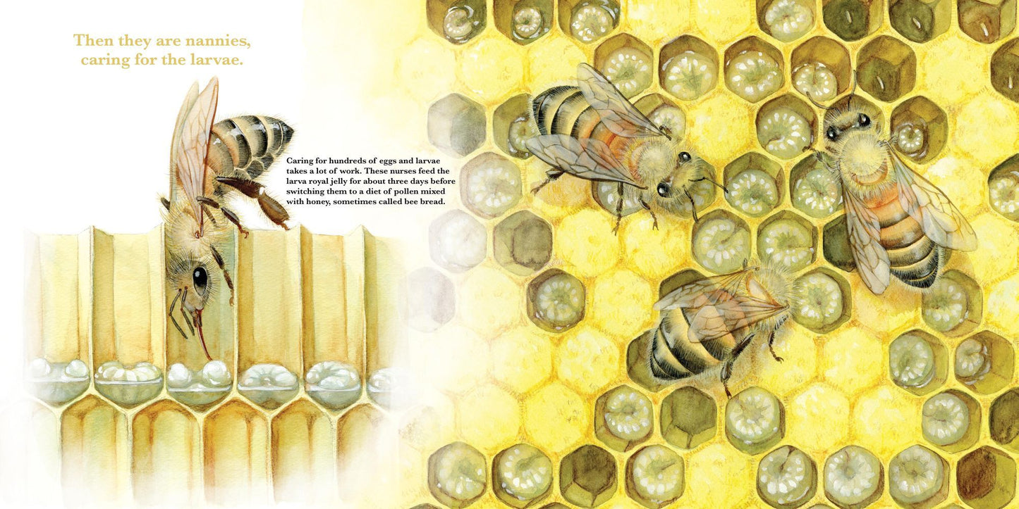 They Work: Honey Bees, Nature's Pollinators
