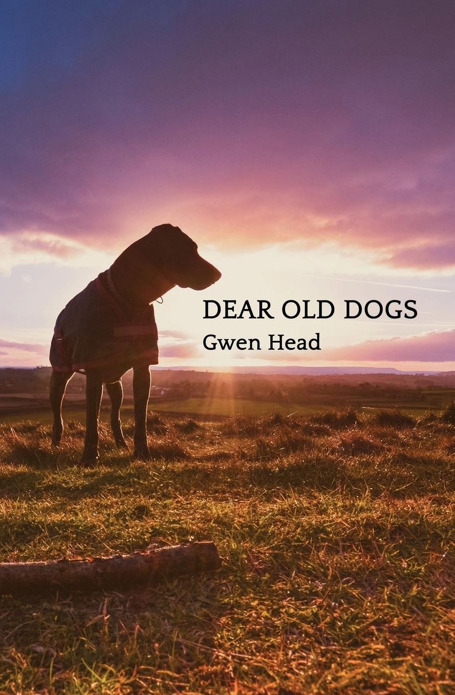 Dear Old Dogs