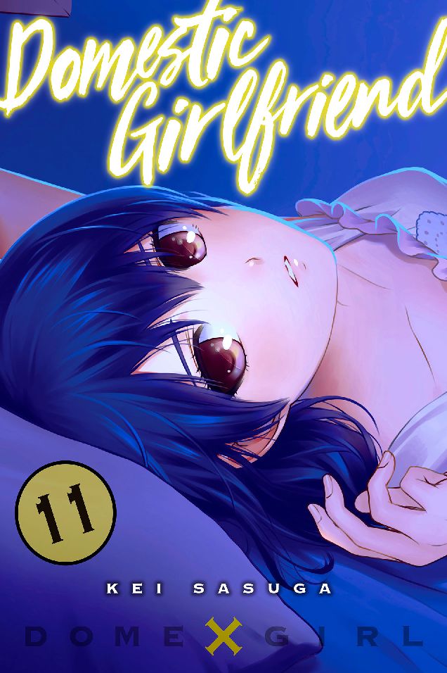 Domestic Girlfriend: Volume 11