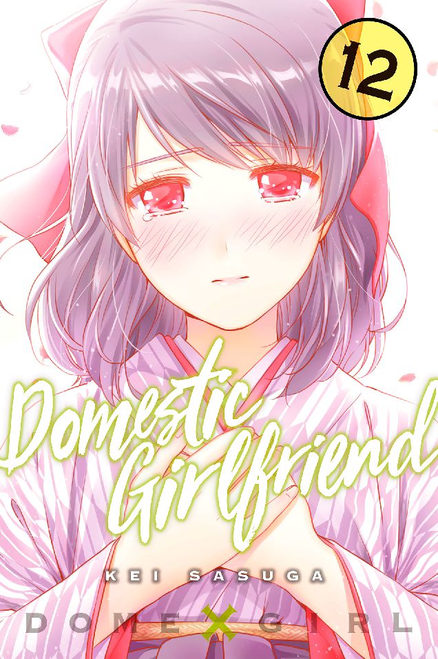 Domestic Girlfriend: Volume 12