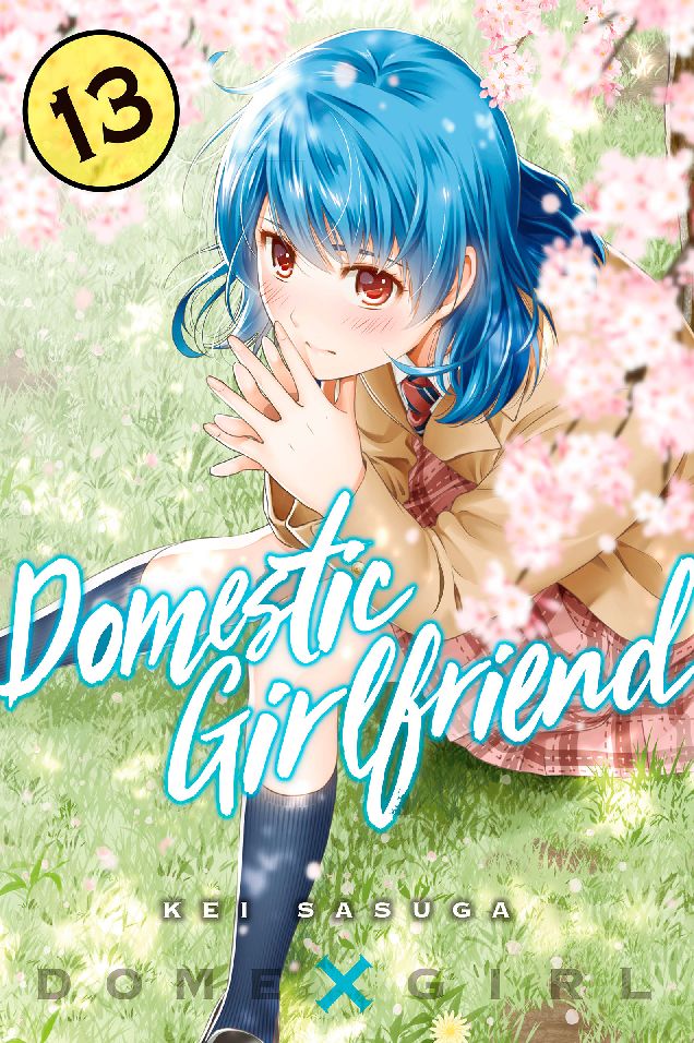 Domestic Girlfriend: Volume 13