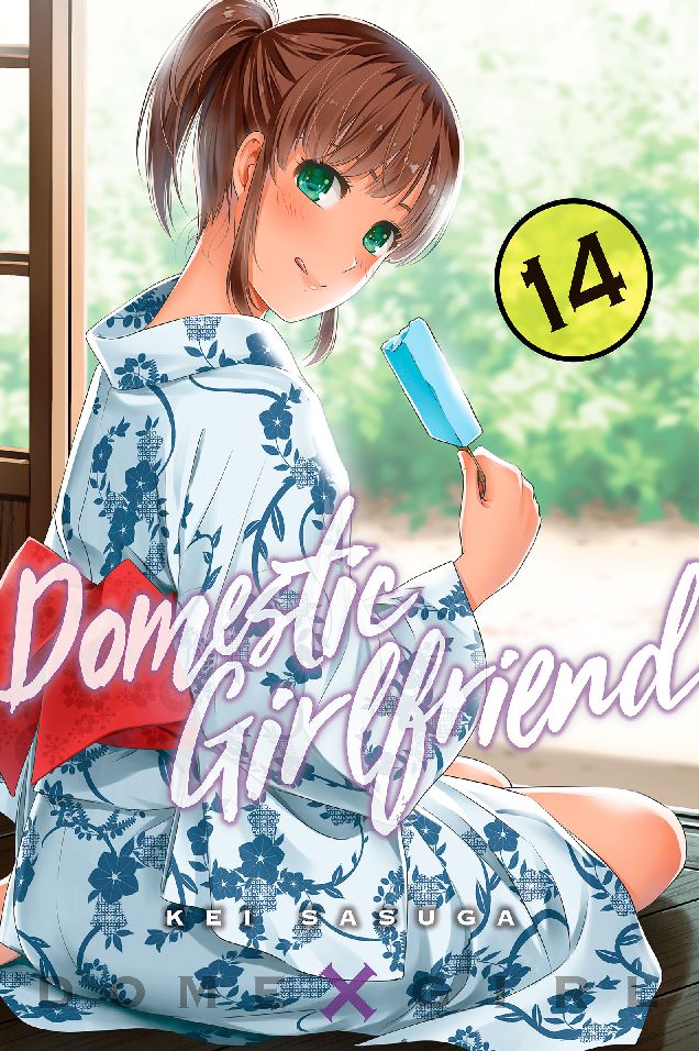 Domestic Girlfriend: Volume 14