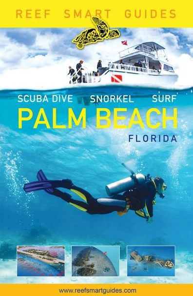 Reef Smart Guides Palm Beach Florida : Scuba Dive. Snorkel. Surf.