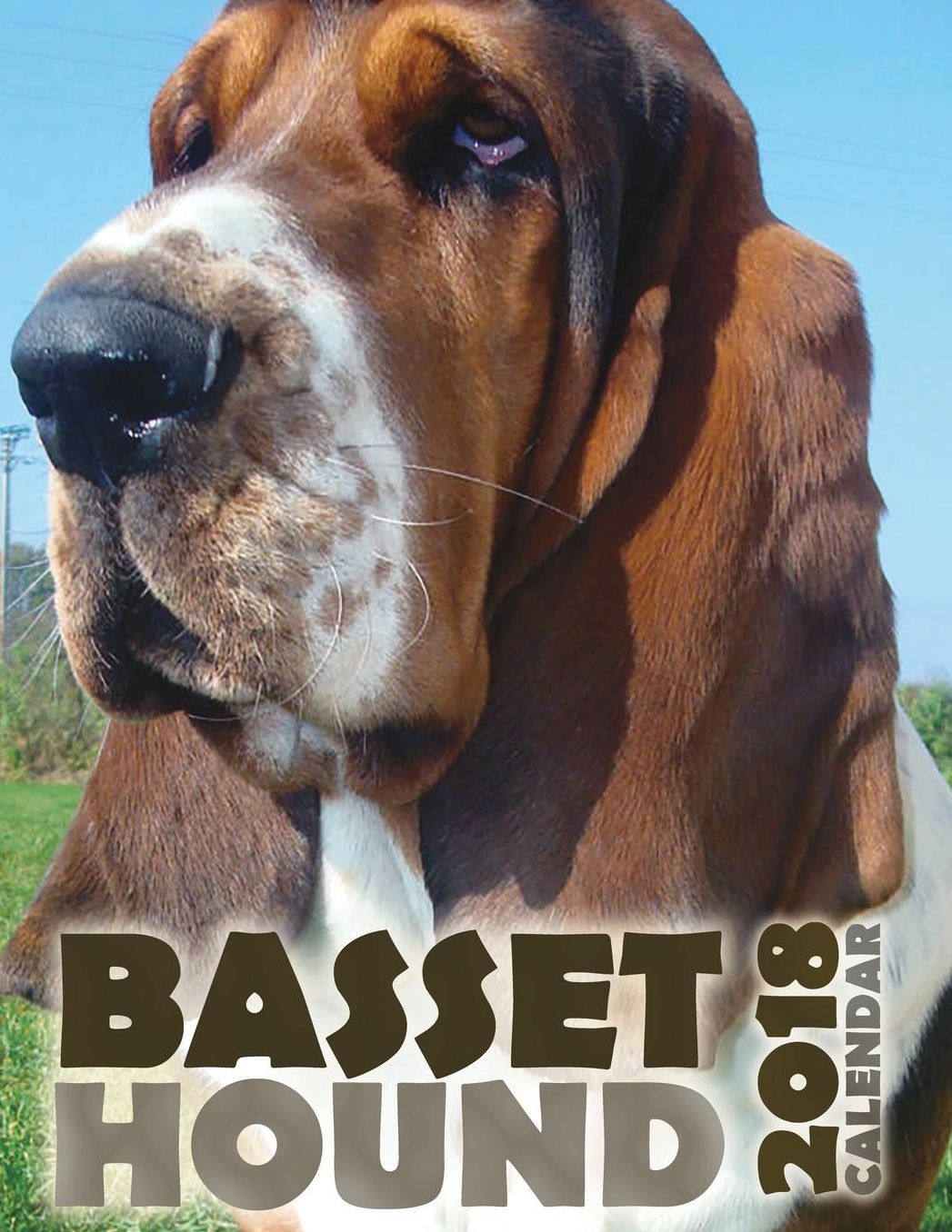 Basset Hound 2018 Calendar