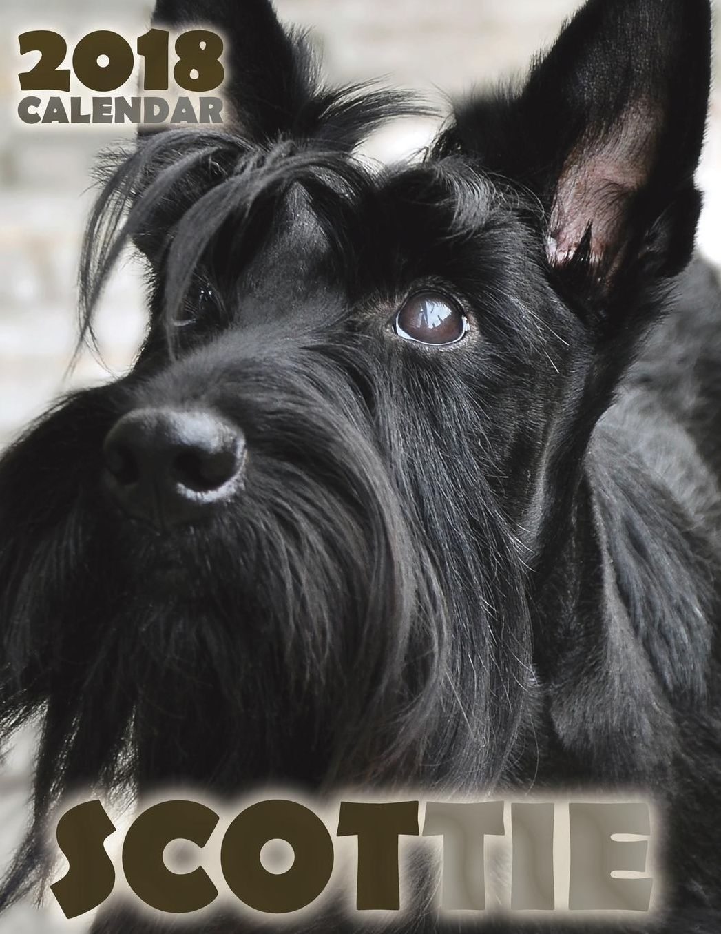 Scottie 2018 Calendar