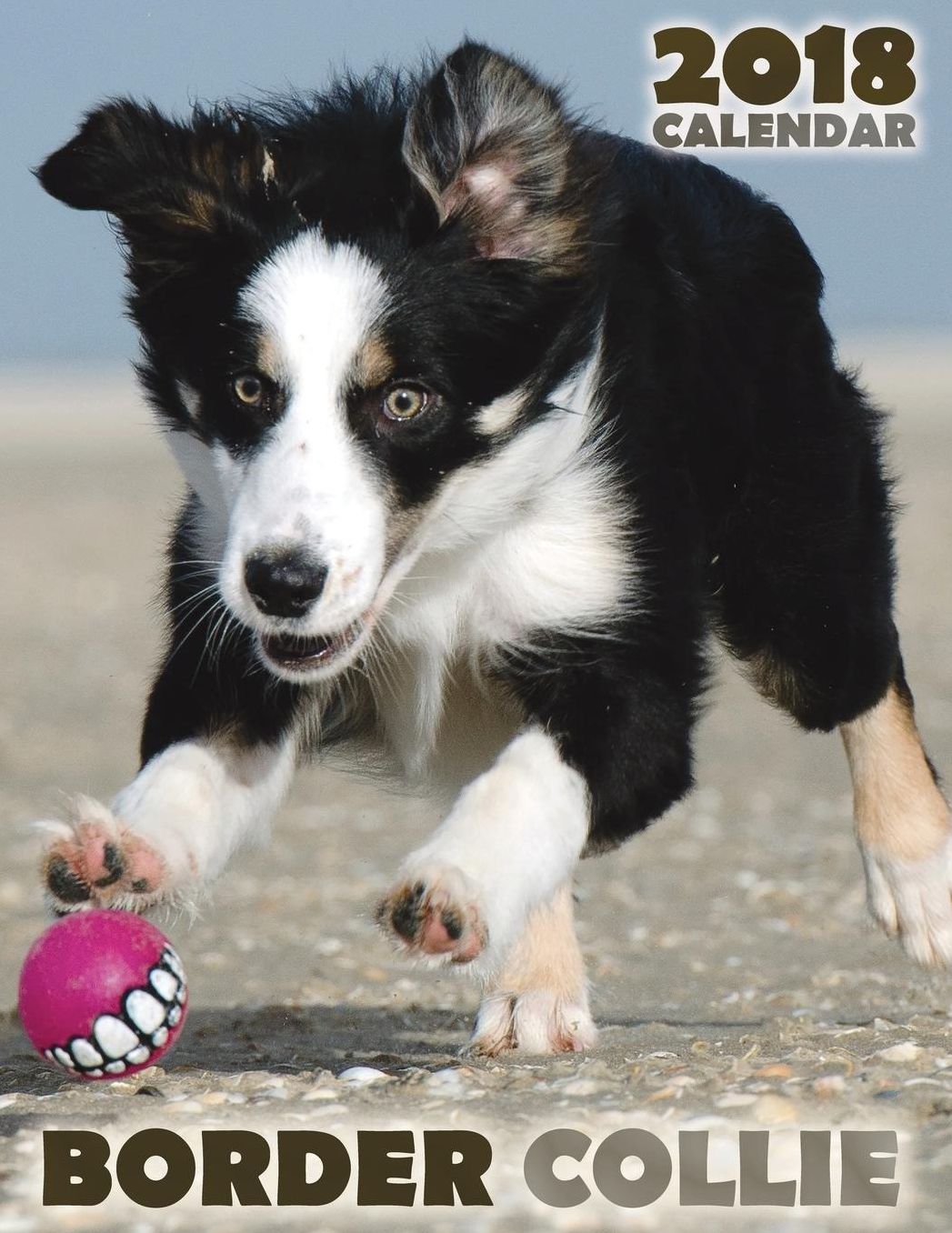 Border Collie 2018 Calendar