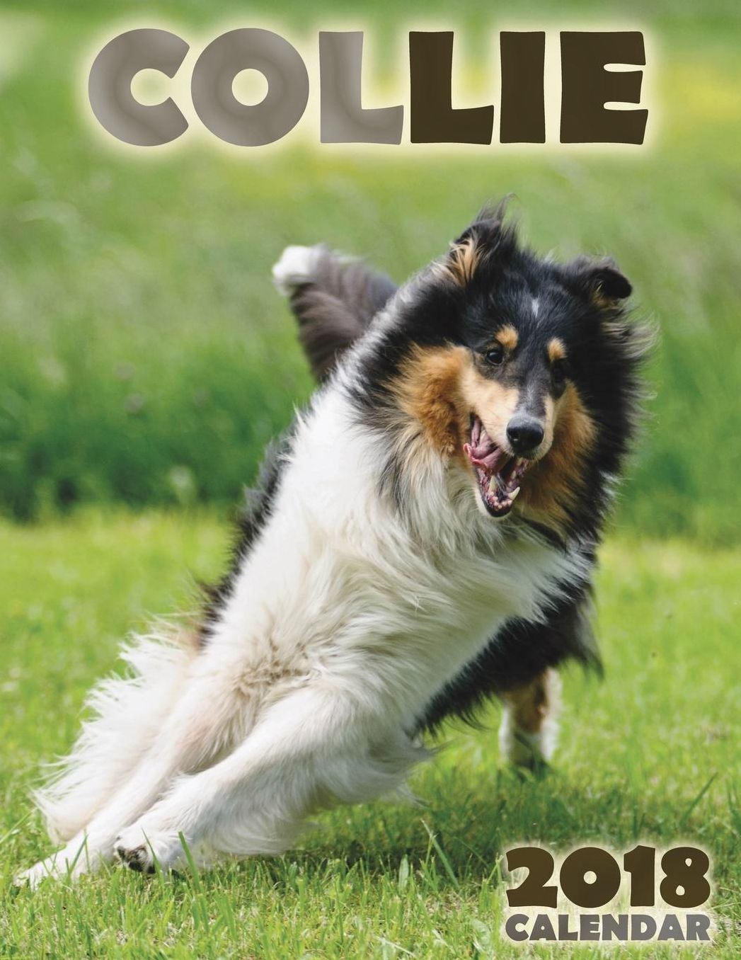 Collie 2018 Calendar