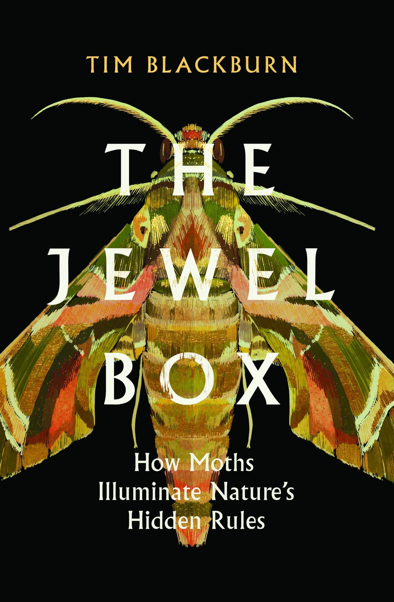 The Jewel Box: How Moths Illuminate Nature's Hidden Rules