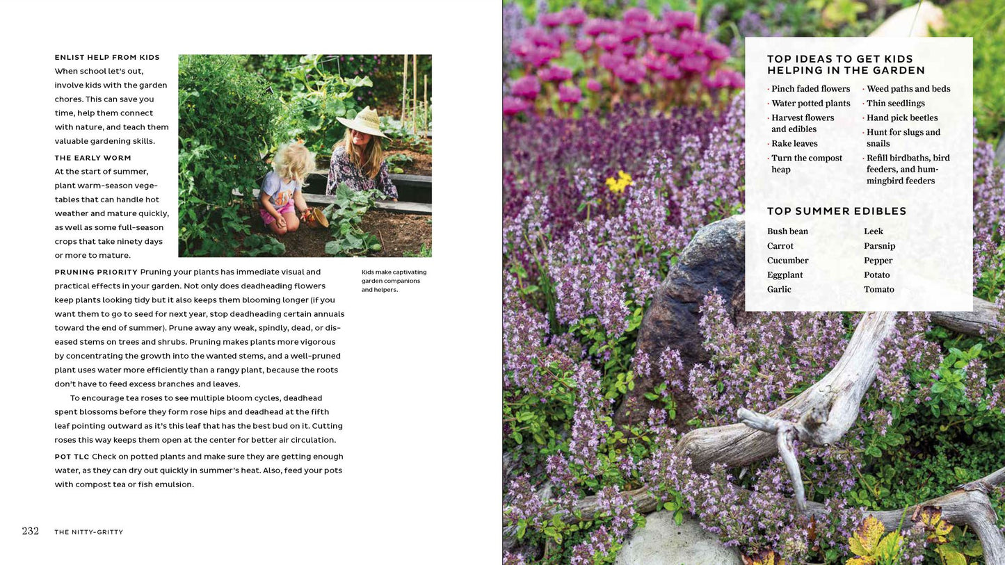 The Garden Refresh: How to Give Your Yard Big Impact on a Small Budget