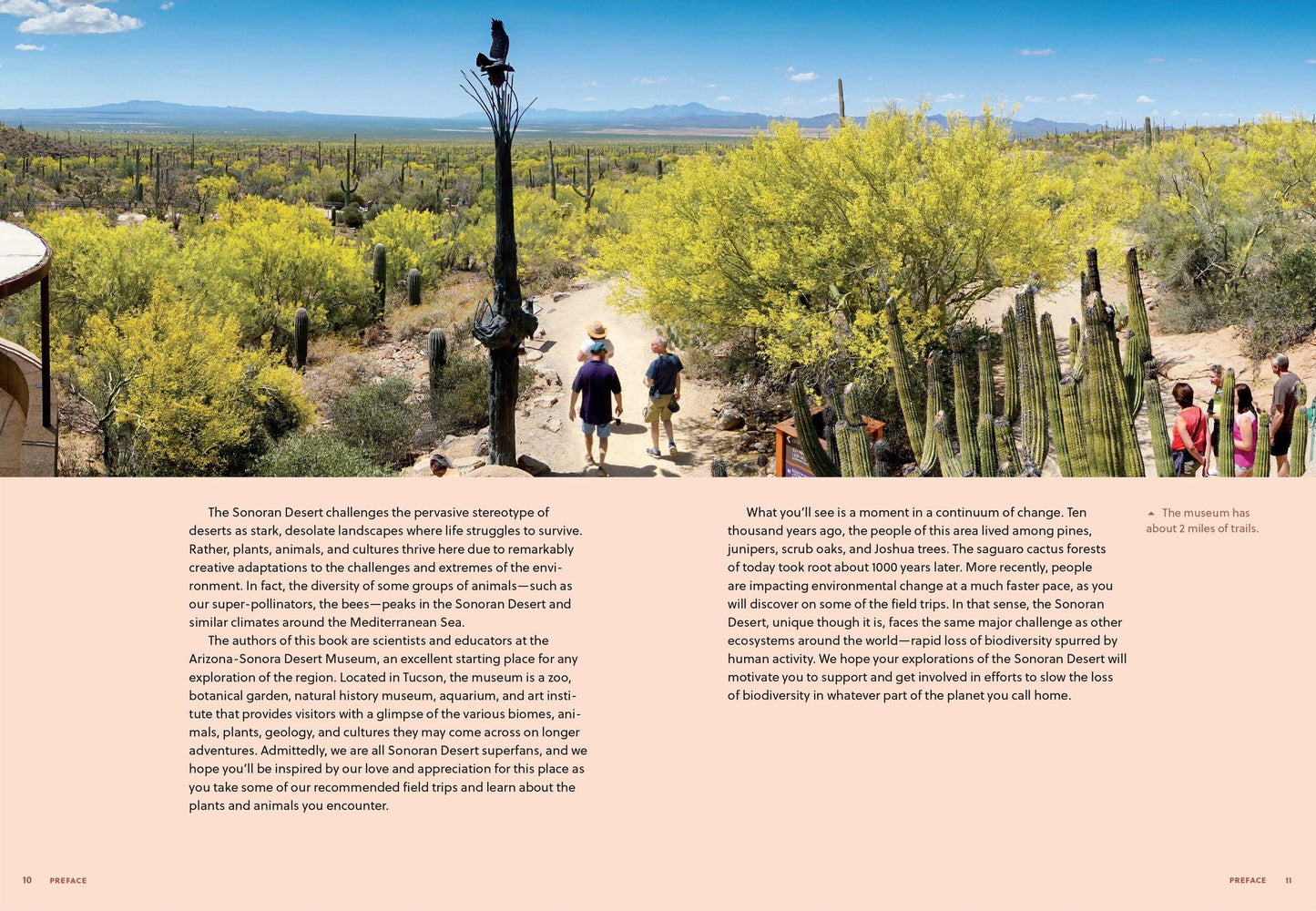 The Sonoran Desert Explorer: A Guide to Natural Wonders and Adventures