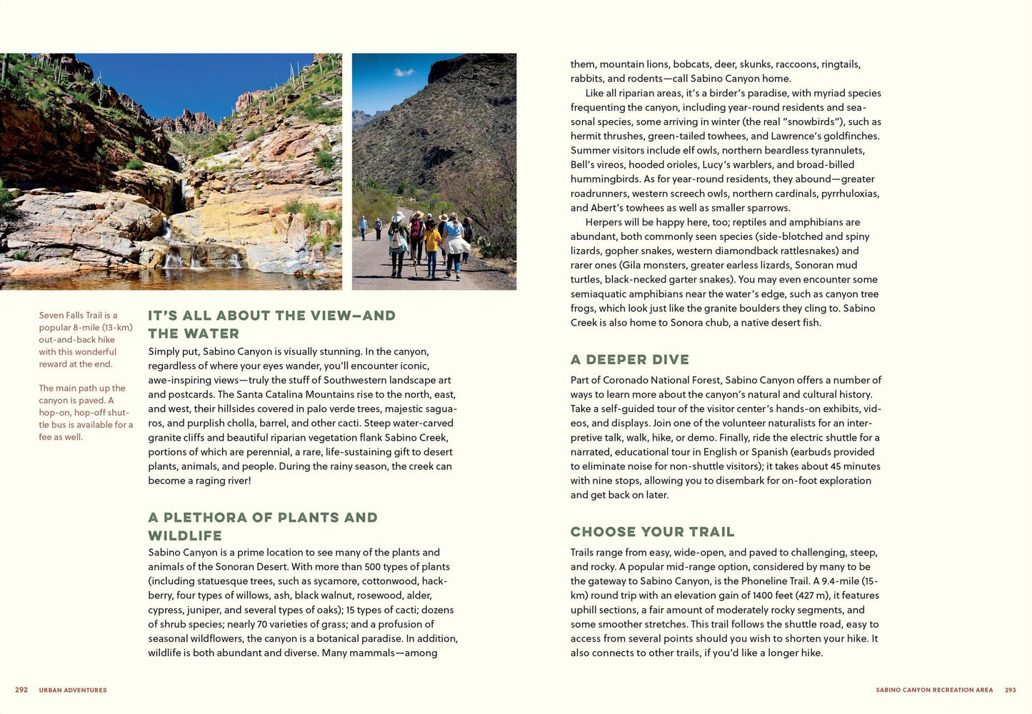 The Sonoran Desert Explorer: A Guide to Natural Wonders and Adventures